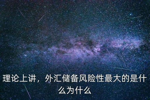 理論上講，外匯儲備風險性最大的是什么為什么