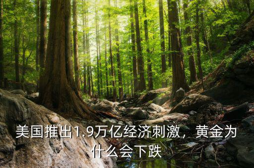 美國推出1.9萬億經(jīng)濟刺激，黃金為什么會下跌