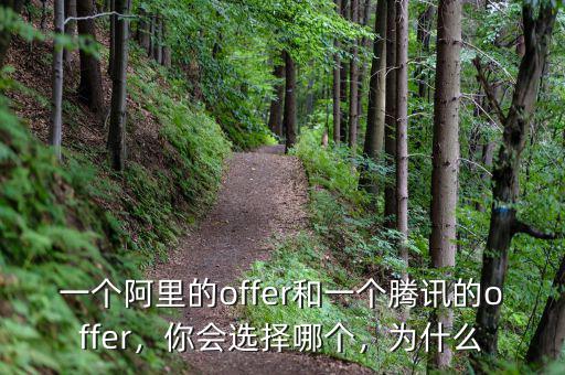 一個(gè)阿里的offer和一個(gè)騰訊的offer，你會選擇哪個(gè)，為什么