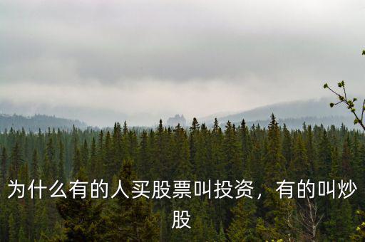 為什么有的人買(mǎi)股票叫投資，有的叫炒股