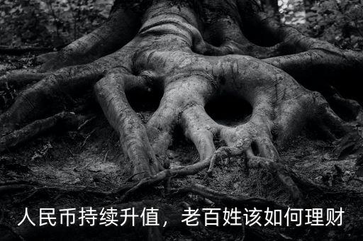 人民幣持續(xù)升值，老百姓該如何理財
