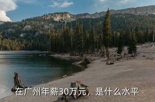 在廣州年薪30萬元，是什么水平