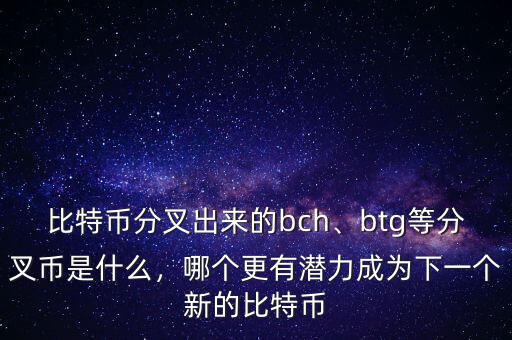比特幣分叉出來(lái)的bch、btg等分叉幣是什么，哪個(gè)更有潛力成為下一個(gè)新的比特幣