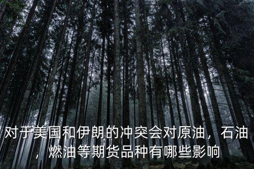 對于美國和伊朗的沖突會對原油，石油，燃油等期貨品種有哪些影響