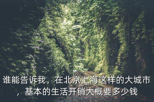 誰能告訴我，在北京上海這樣的大城市，基本的生活開銷大概要多少錢