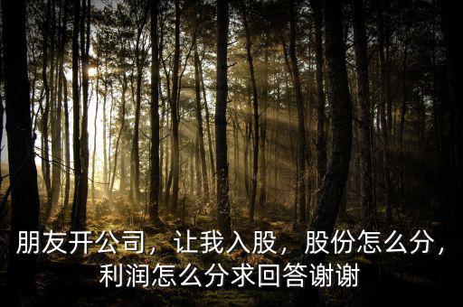 朋友開(kāi)公司，讓我入股，股份怎么分，利潤(rùn)怎么分求回答謝謝