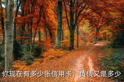 你現(xiàn)在有多少?gòu)埿庞每ǎ?fù)債又是多少