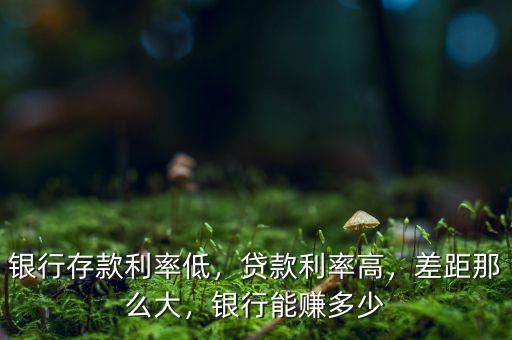 銀行存款利率低，貸款利率高，差距那么大，銀行能賺多少