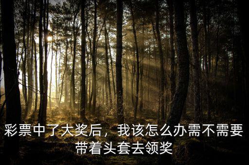 彩票中了大獎后，我該怎么辦需不需要帶著頭套去領(lǐng)獎