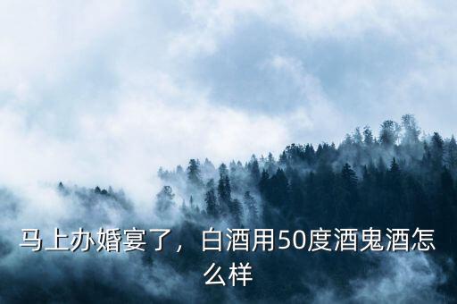 馬上辦婚宴了，白酒用50度酒鬼酒怎么樣