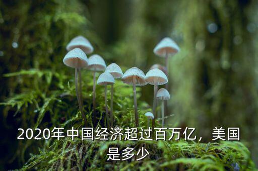 2020年中國經(jīng)濟(jì)超過百萬億，美國是多少