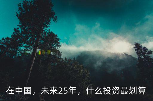 在中國(guó)，未來(lái)25年，什么投資最劃算