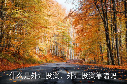 什么是外匯投資，外匯投資靠譜嗎