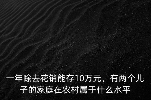 一年除去花銷能存10萬元，有兩個兒子的家庭在農(nóng)村屬于什么水平