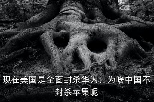 現(xiàn)在美國(guó)是全面封殺華為，為啥中國(guó)不封殺蘋果呢