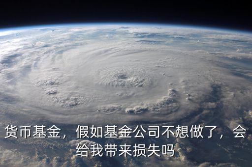 貨幣基金，假如基金公司不想做了，會(huì)給我?guī)?lái)?yè)p失嗎
