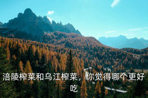 涪陵榨菜和烏江榨菜，你覺得哪個更好吃