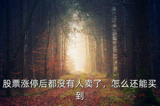 股票漲停后都沒(méi)有人賣了，怎么還能買到
