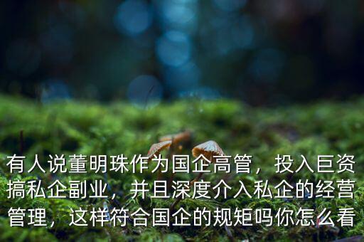 有人說董明珠作為國企高管，投入巨資搞私企副業(yè)，并且深度介入私企的經(jīng)營管理，這樣符合國企的規(guī)矩嗎你怎么看