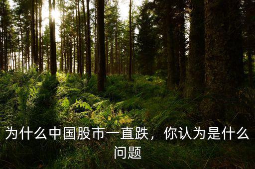 為什么中國(guó)股市一直跌，你認(rèn)為是什么問(wèn)題