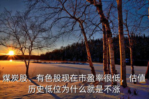 煤炭股、有色股現(xiàn)在市盈率很低，估值歷史低位為什么就是不漲