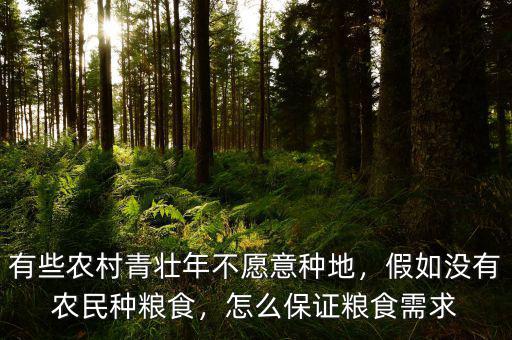 有些農(nóng)村青壯年不愿意種地，假如沒(méi)有農(nóng)民種糧食，怎么保證糧食需求