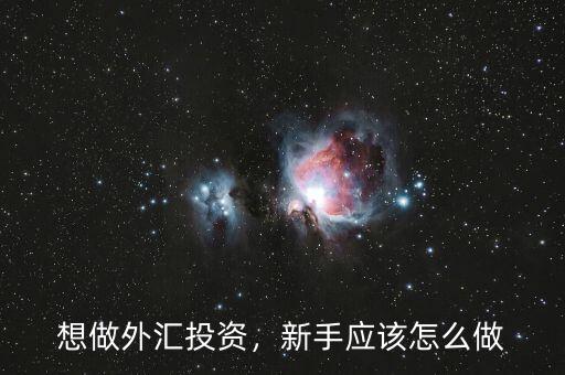 想做外匯投資，新手應該怎么做