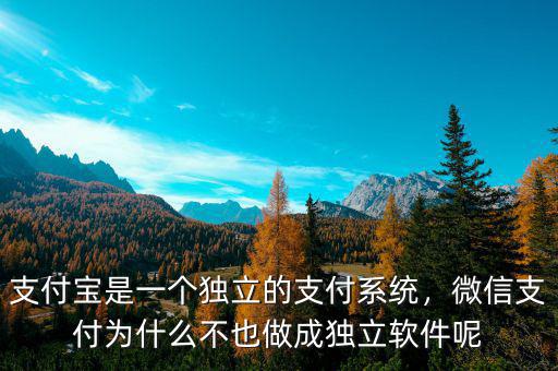 支付寶是一個獨立的支付系統(tǒng)，微信支付為什么不也做成獨立軟件呢