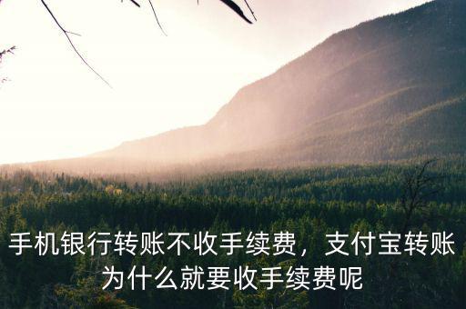 手機銀行轉(zhuǎn)賬不收手續(xù)費，支付寶轉(zhuǎn)賬為什么就要收手續(xù)費呢