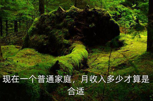 現(xiàn)在一個普通家庭，月收入多少才算是合適