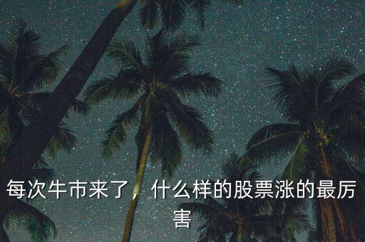 每次牛市來(lái)了，什么樣的股票漲的最厲害