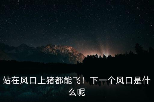 站在風口上豬都能飛！下一個風口是什么呢