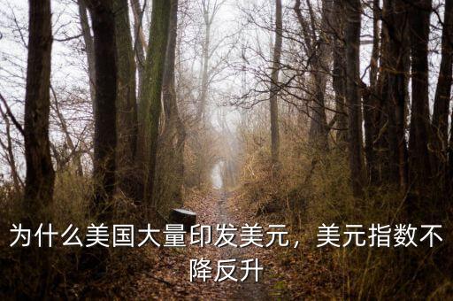 為什么美國大量印發(fā)美元，美元指數(shù)不降反升