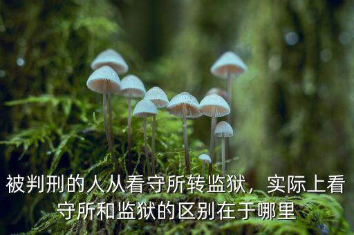 被判刑的人從看守所轉(zhuǎn)監(jiān)獄，實際上看守所和監(jiān)獄的區(qū)別在于哪里