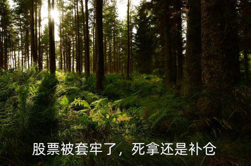股票被套牢了，死拿還是補(bǔ)倉