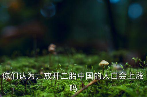 你們認(rèn)為，放開二胎中國的人口會(huì)上漲嗎