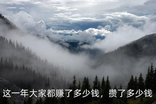這一年大家都賺了多少錢，攢了多少錢