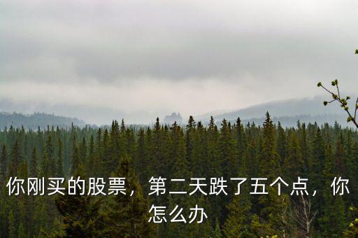 你剛買的股票，第二天跌了五個(gè)點(diǎn)，你怎么辦