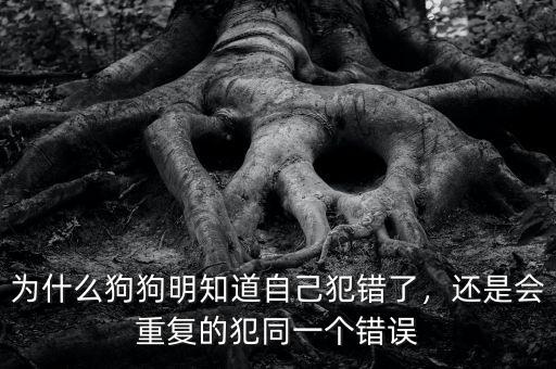 為什么狗狗明知道自己犯錯(cuò)了，還是會(huì)重復(fù)的犯同一個(gè)錯(cuò)誤