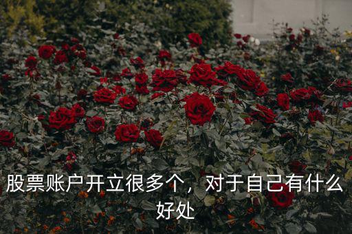 股票賬戶開立很多個(gè)，對(duì)于自己有什么好處