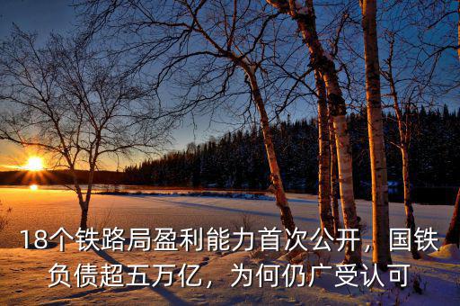 18個(gè)鐵路局盈利能力首次公開，國鐵負(fù)債超五萬億，為何仍廣受認(rèn)可