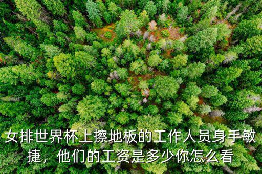 女排世界杯上擦地板的工作人員身手敏捷，他們的工資是多少你怎么看