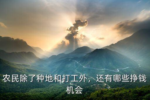 農(nóng)民除了種地和打工外，還有哪些掙錢機會