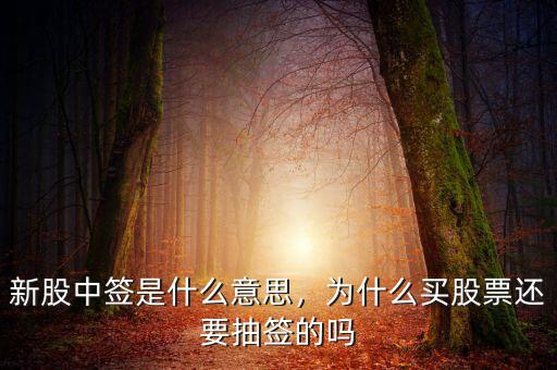 新股中簽是什么意思，為什么買股票還要抽簽的嗎