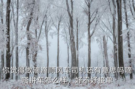 你覺得做滴滴順風(fēng)車司機還有意思嗎嘀嗒拼車怎么樣，好不好接單