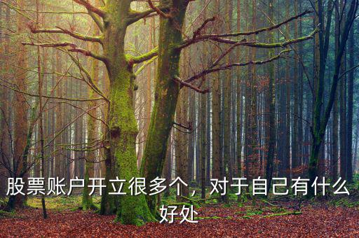 股票賬戶開立很多個(gè)，對于自己有什么好處