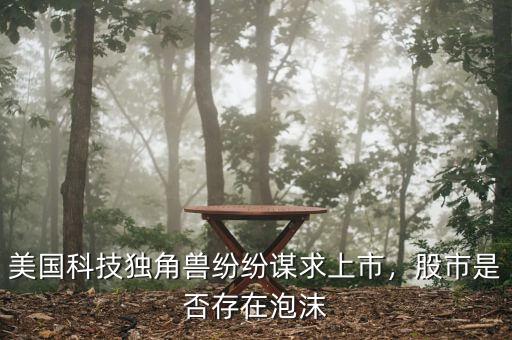 美國科技獨角獸紛紛謀求上市，股市是否存在泡沫