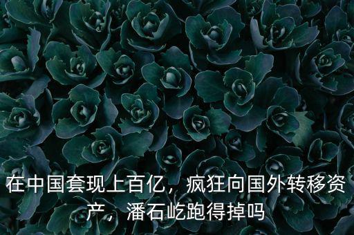 在中國(guó)套現(xiàn)上百億，瘋狂向國(guó)外轉(zhuǎn)移資產(chǎn)，潘石屹跑得掉嗎