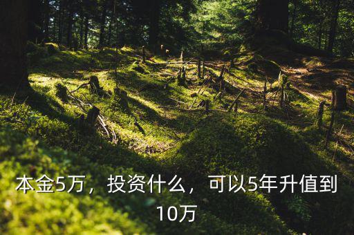 本金5萬，投資什么，可以5年升值到10萬