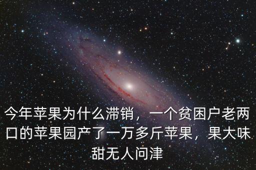 今年蘋果為什么滯銷，一個(gè)貧困戶老兩口的蘋果園產(chǎn)了一萬多斤蘋果，果大味甜無人問津